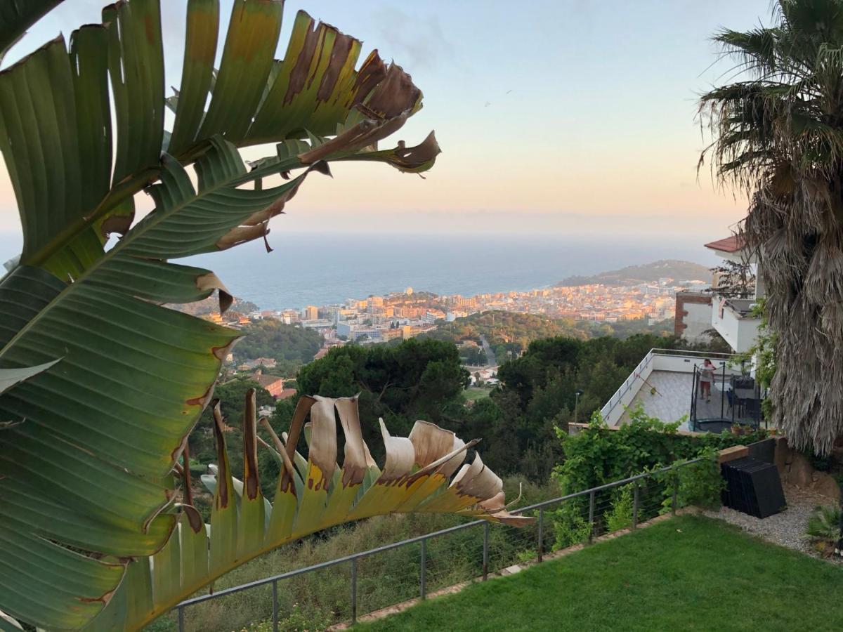 Villa Oasis Costa Brava Лорет де Мар Екстериор снимка