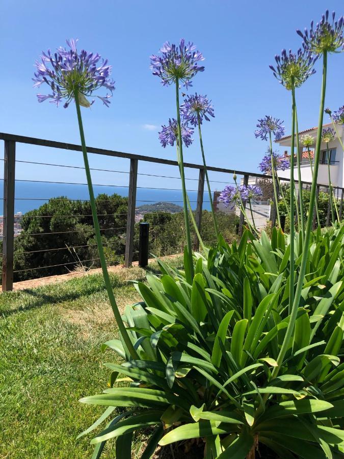 Villa Oasis Costa Brava Лорет де Мар Екстериор снимка